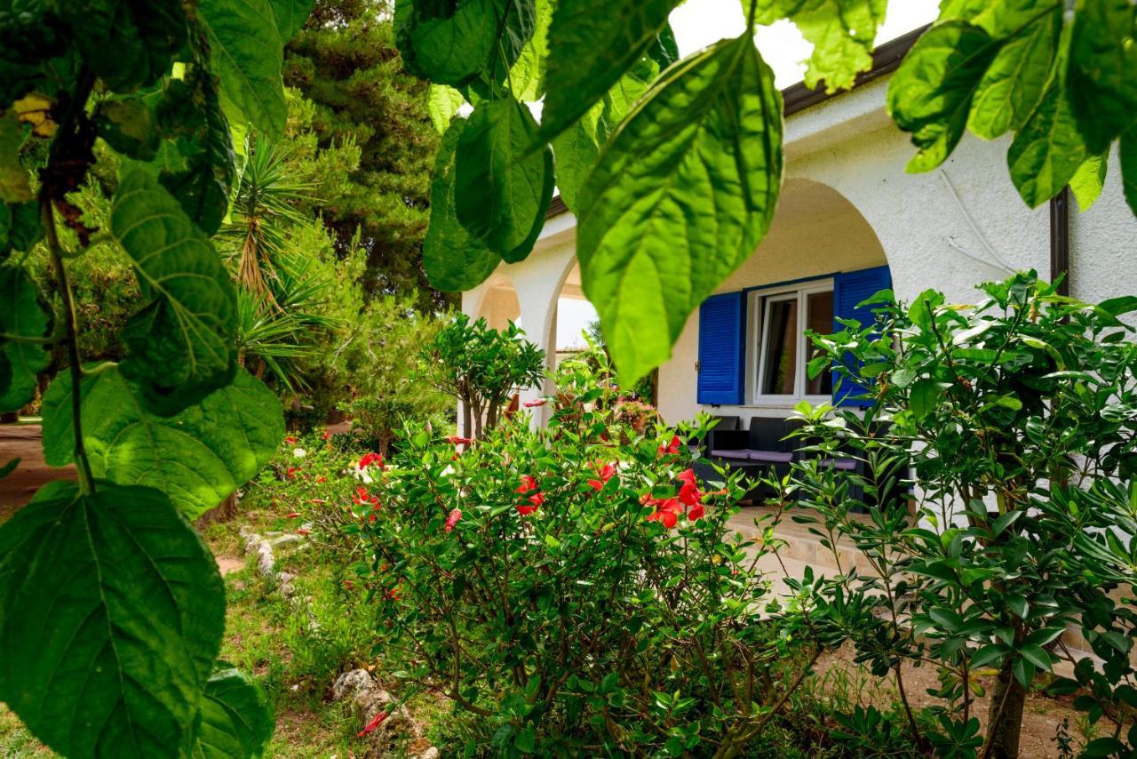 Tuisuneo La Conchiglia - Adults Only Capo Vaticano Exterior foto